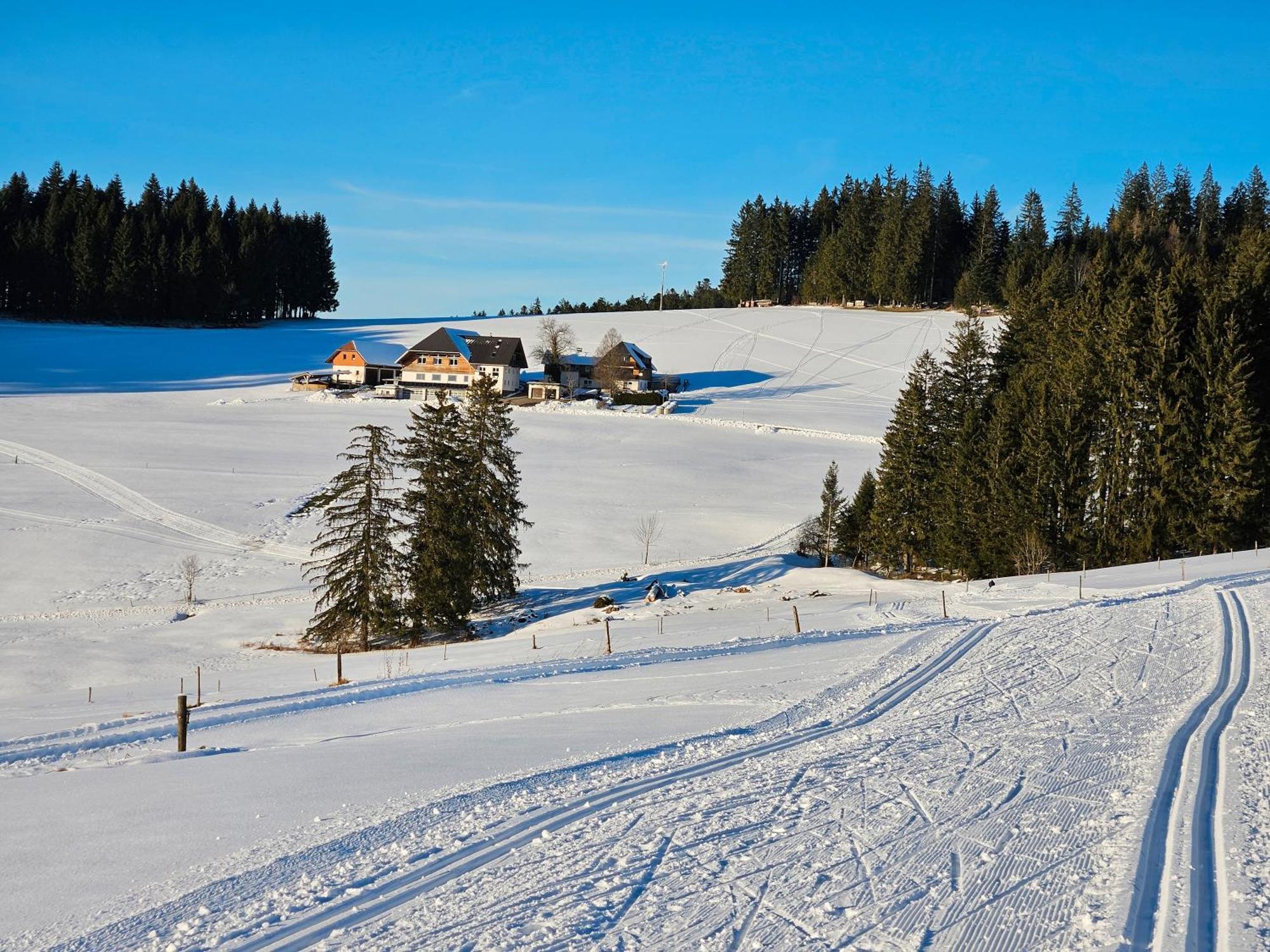 Lorenzenhaeusle Titisee-Neustadt Exterior foto