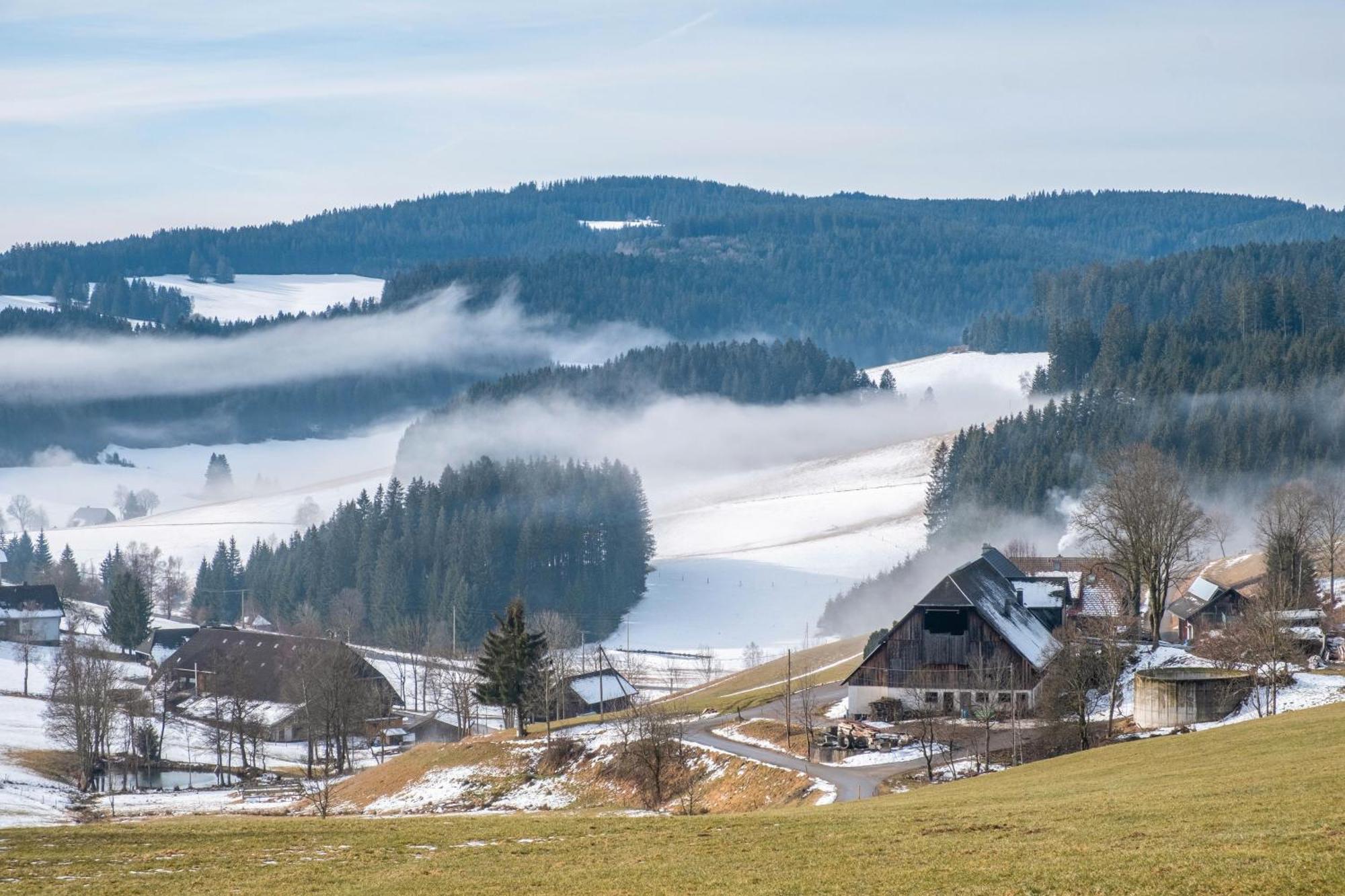 Lorenzenhaeusle Titisee-Neustadt Exterior foto