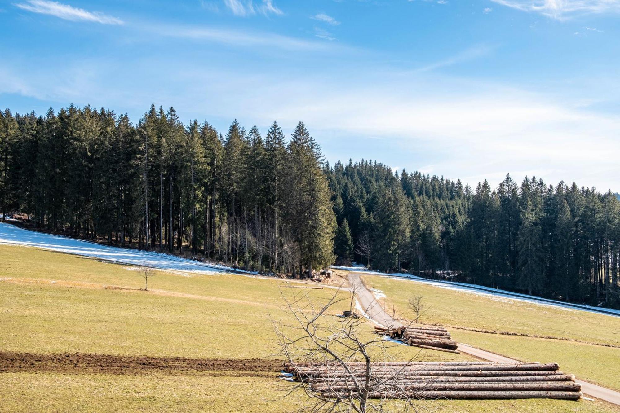Lorenzenhaeusle Titisee-Neustadt Exterior foto