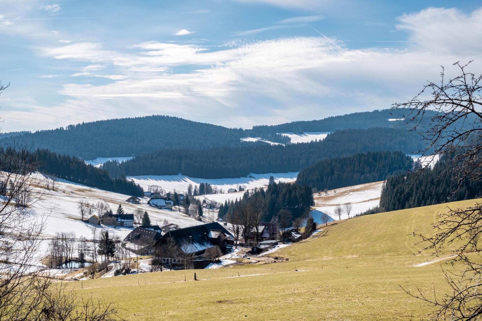 Lorenzenhaeusle Titisee-Neustadt Exterior foto