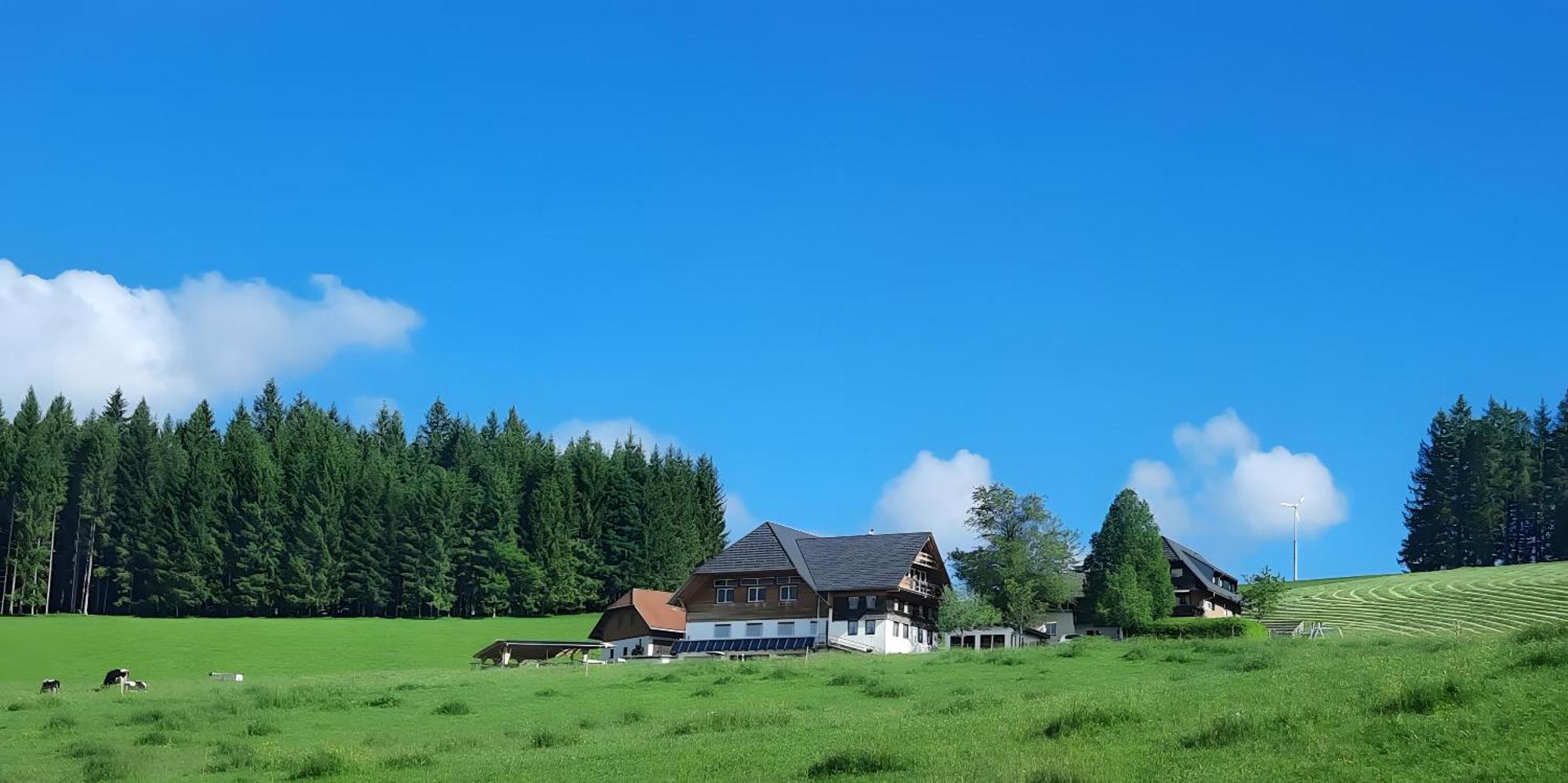 Lorenzenhaeusle Titisee-Neustadt Exterior foto