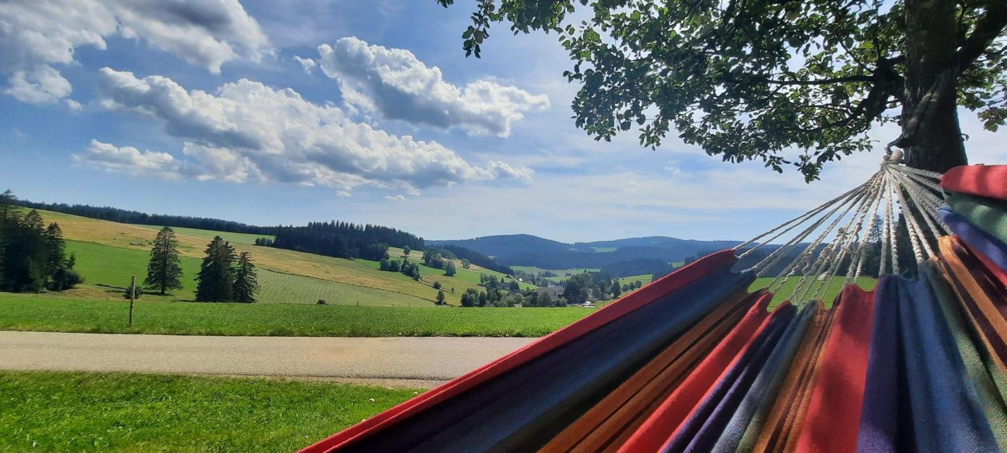 Lorenzenhaeusle Titisee-Neustadt Exterior foto