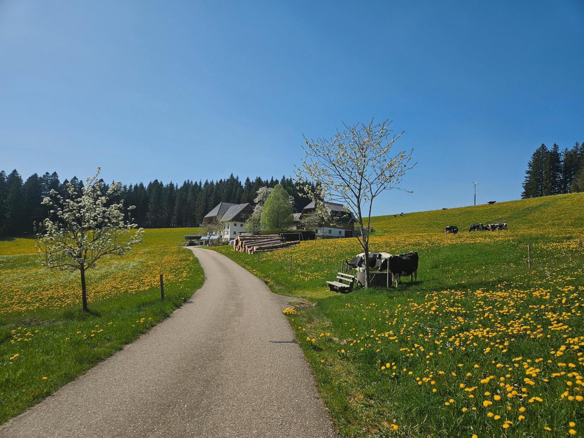 Lorenzenhaeusle Titisee-Neustadt Exterior foto